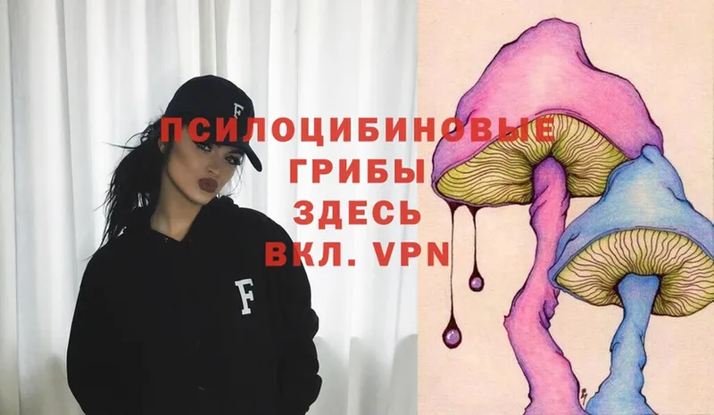 Галлюциногенные грибы Psilocybe  Тосно 