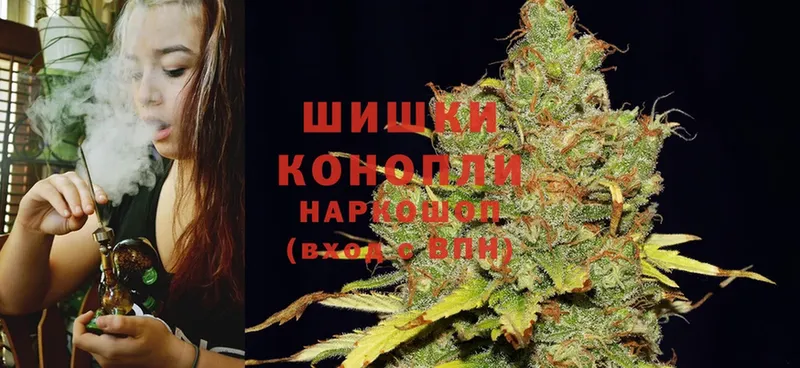 Канабис OG Kush  Тосно 